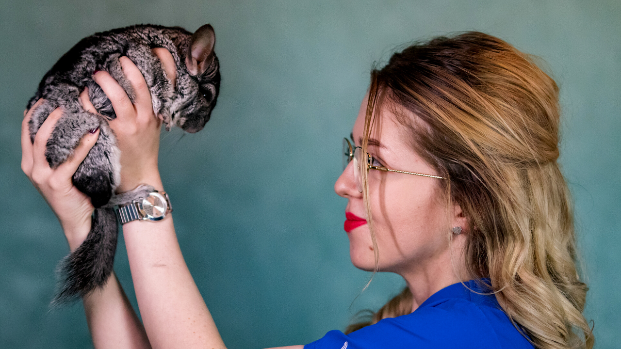 "Chciałam być damską wersją doktora Dolittle" Wywiad z Klaudią Chrząszcz