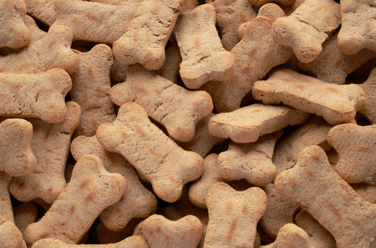 Przysmaki dla psów – idealny sposób na budowanie więzi z czworonogiem?