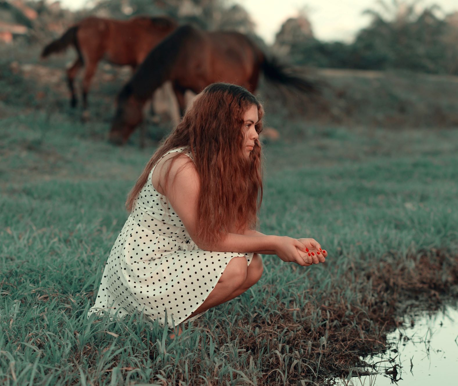 Kocham konie, ale się ich boję. – Jak poradzić sobie z lękiem przed koniem?