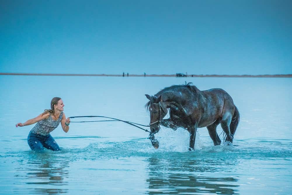 Czy koń pływa? Fakty i mity o koniu w wodzie