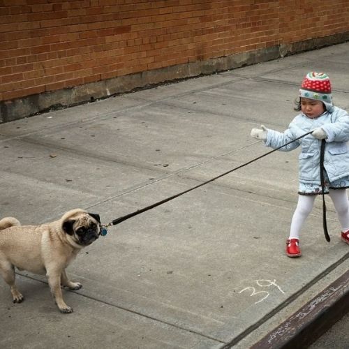 Pies i dziecko w domu. Co powinieneś wiedzieć!