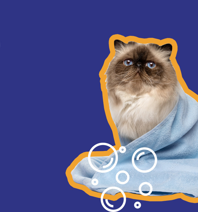 Deor Karma dla kotów