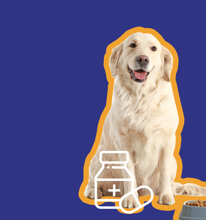 Deor Karma dla psów