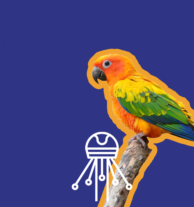 Deor Karma dla ptaków