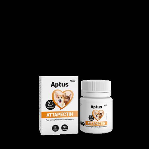 APTUS® ATTAPECTIN 30 tabletek