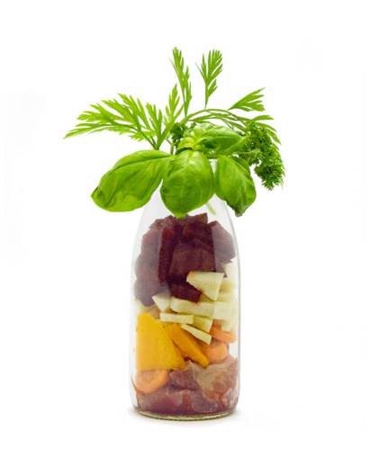 SmoothieDog Wołowina 250 ml