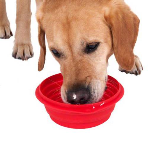 Miska podróżna silikonowa 500  ml, Ø 13 cm