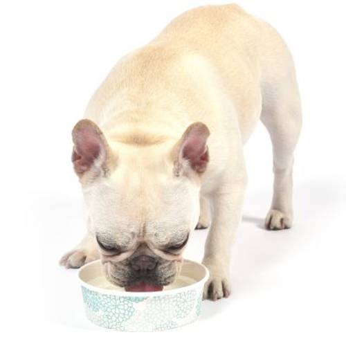 Arm & Hammer, świeża woda kokosowa do pielęgnacji zębów 473 ml