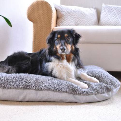 Pawz & Pepper ortopedyczna poduszka Denver Ortho Dł. x szer. x wys.: 115 x 75 x 18 cm