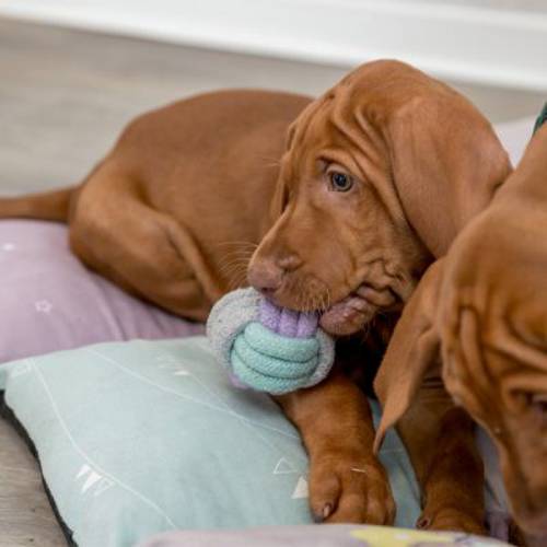 Trixie Junior patchworkowa mata do leżenia Dł. x szer. x wys.: 60 x 60 x 7 cm