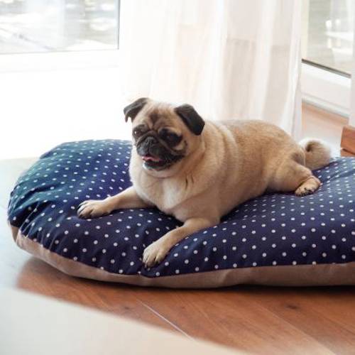 Aumüller, poduszka orkiszowa Dł. x szer. x wys.: 65 x 43 x 10 cm