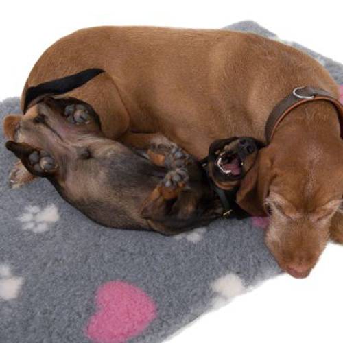 zooplus Isobed dla psa, szary z sercami i łapkami Dł. x szer.: 100 x 75 cm