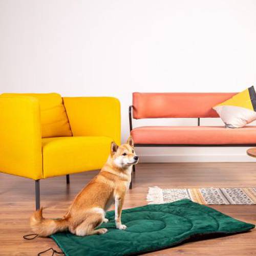 Mata podróżna dla psa Kompas  Dł. x szer. x wys.: 100 x 70 x 3 cm