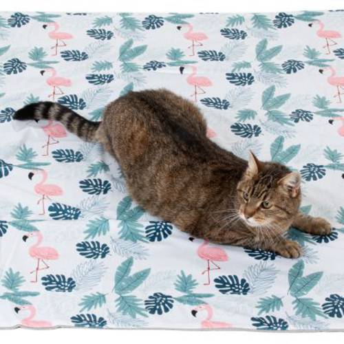 zoolove Flaming pluszowy kocyk Dł. x szer.: 152 x 122 cm