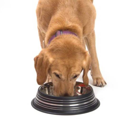 Silver Line miska ze stali szlachetnej, czarna matowa 200 ml, Ø 15 cm