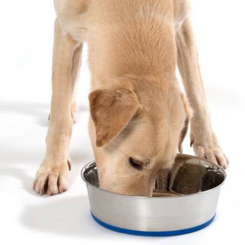 Miska ze stali szlachetnej Premium 1,9 l,  Ø 21 cm