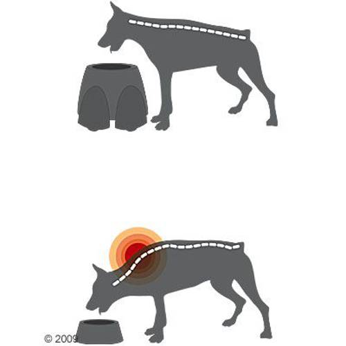 Savic Ergo Feeder Psi bar 2 x 1,5 l