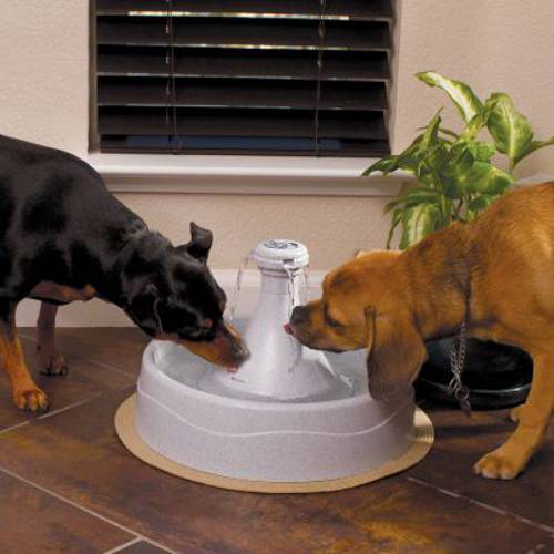 PetSafe® Drinkwell®  360 poidełko fontanna Filtr zapasowy, 3 szt.