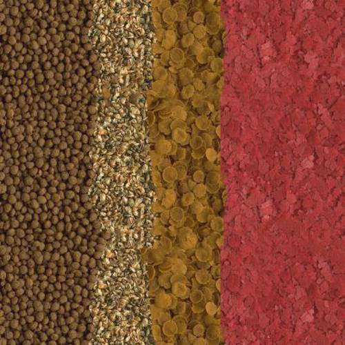 Tetra Goldfish Menu 250 ml