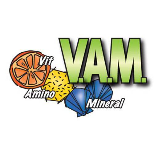 Prestige Loro Parque African Papagei Mix pokarm dla papug afrykańskich 1 kg