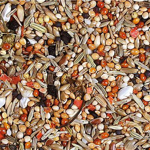 JR Farm Individual karma dla ptaków nimf 2 x 1 kg