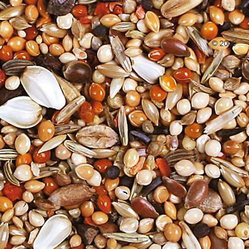 JR Farm Individual dla papużek nierozłączek 1 kg