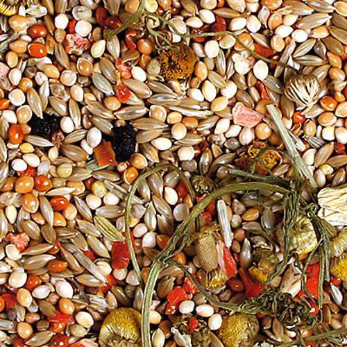 JR Birds Individual karma dla papużek falistych 2 x 1 kg