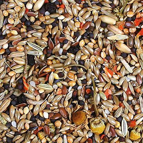 JR  Farm Individual karma dla kanarków 2 x 1 kg