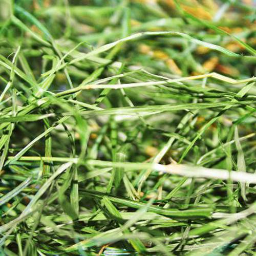 Mucki Siano z górskich łąk 60 l ok. 1,6 kg