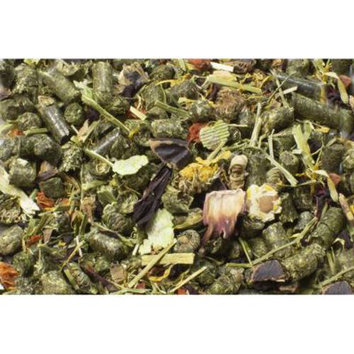 JR Farm uczta dla świnek morskich 2,5 kg