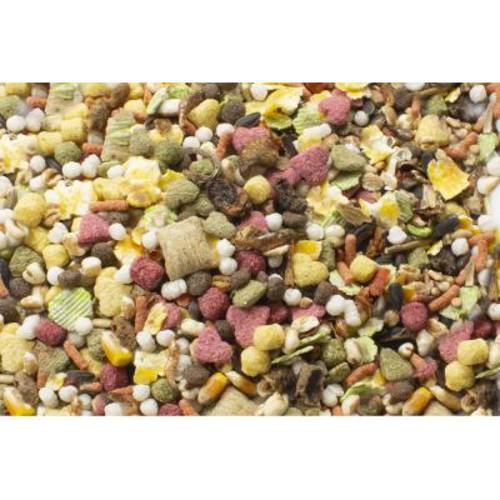 JR Farm uczta dla szczura 2,5 kg