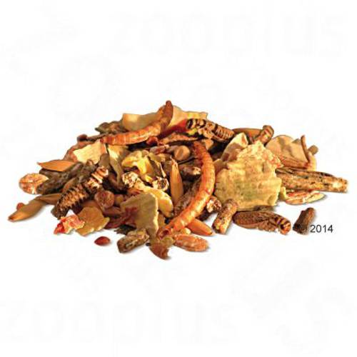 Bunny BASIC Marzenie myszoskoczka 600 g