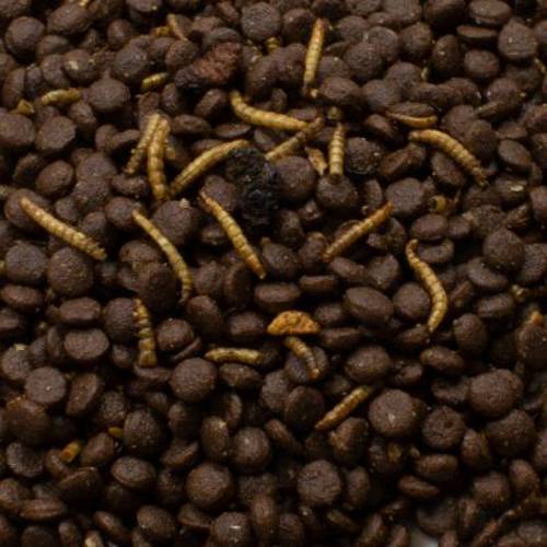 JR Garden Bezzbożowy pokarm dla jeży 750 g