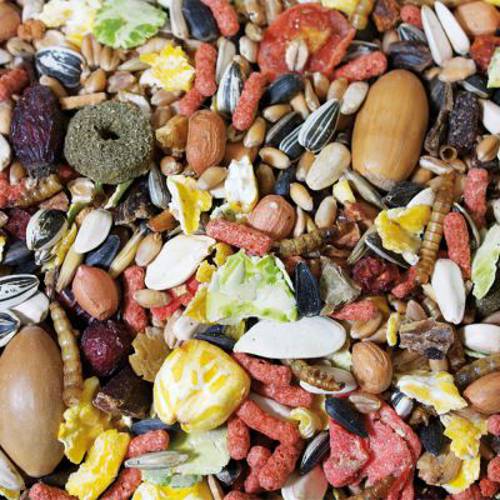 JR Garden Biesiada dla wiewiórek 600 g