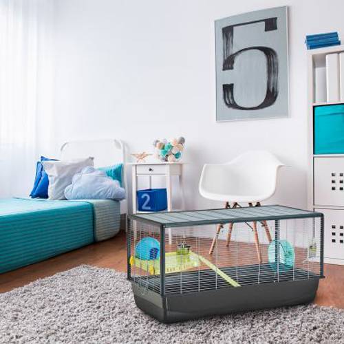 Savic Plaza Knock Down Gr. XL: dł. x szer. x wys.: 100 x 50 x 50 cm