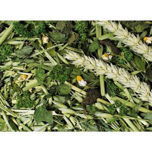 JR Farm - cierpki pokarm Mniszek lekarski, 500 g