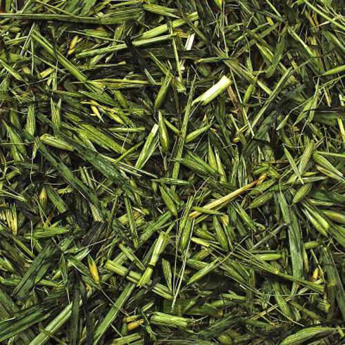 JR Farm - zielony owies 500 g