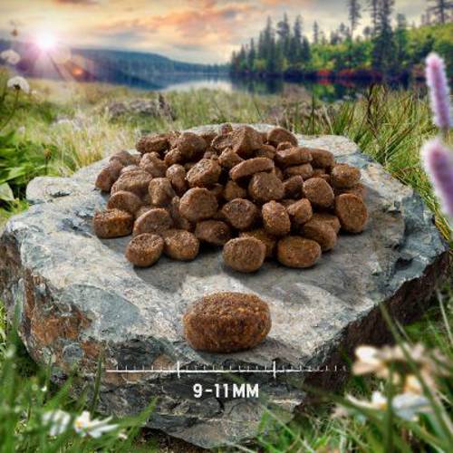 Mieszany pakiet próbny Purizon Adult dla kota, 3 x 2,5 kg Kurczak i ryba, sarnina i ryba, kaczka i ryba