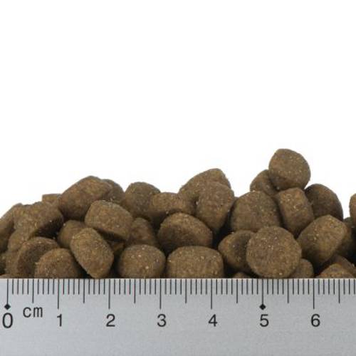 Feringa Adult, indyk 400 g