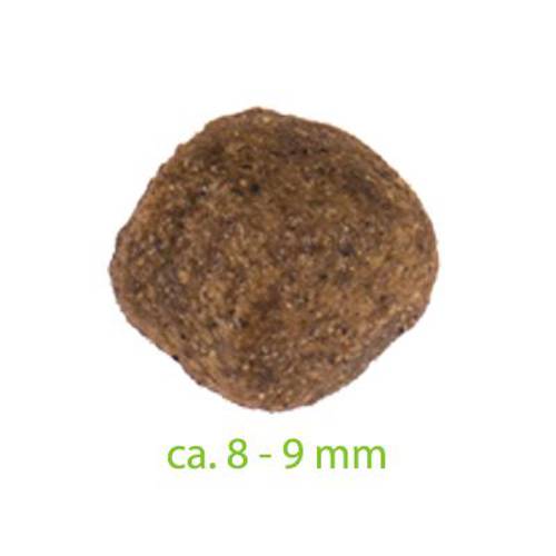 Feringa Adult, ryba 6,5 kg