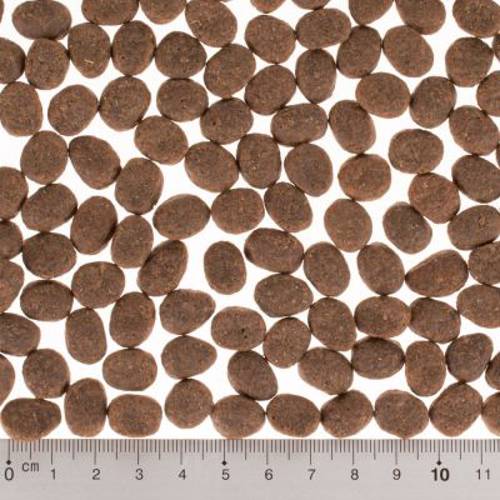 Wild Freedom Adult „Cold River”, łosoś 400 g