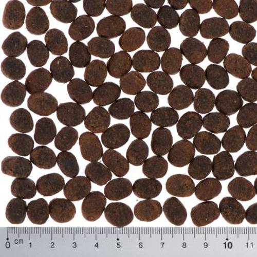 Wild Freedom Adult „Farmlands”, wołowina 2 kg