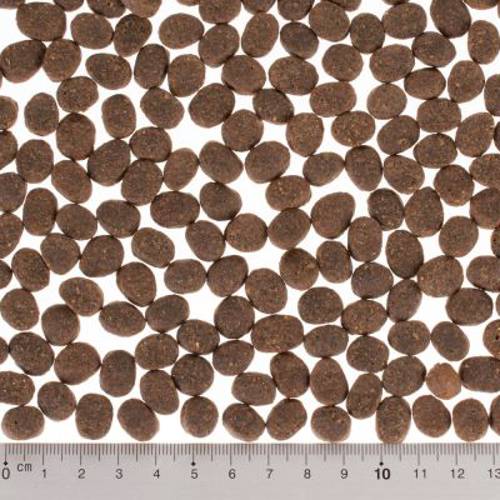 Wild Freedom Adult „Green Lands”, jagnięcina 3 x 2 kg