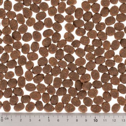 Wild Freedom Adult „Wild Hills”, kaczka 3 x 2 kg