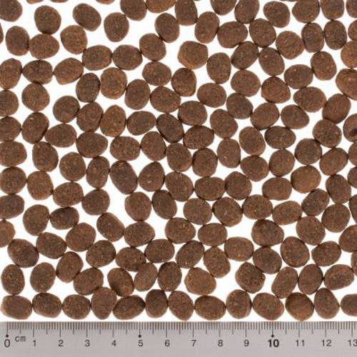 Wild Freedom Senior "Wide Country ", drób 400 g