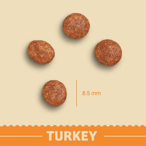 James Wellbeloved Cat Grain Free, indyk (bez zbóż) 4 kg