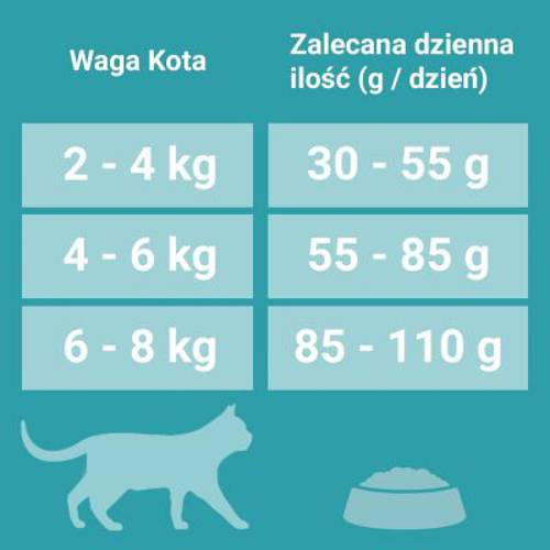 Purina ONE, z formułą Indoor 2 x 3 kg