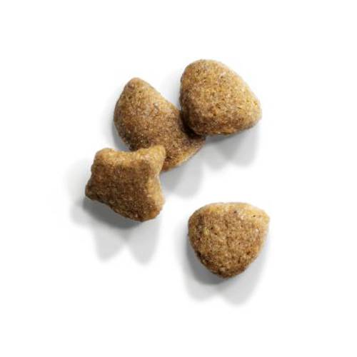 IAMS for Vitality Adult Hairball z kurczakiem 2 x 10 kg