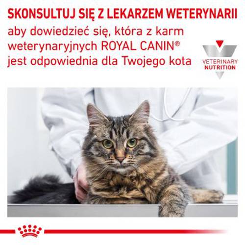 Royal Canin Veterinary Feline Early Renal 2 x 3,5 kg