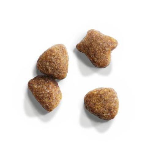 IAMS for Vitality Senior ze świeżym kurczakiem 2 x 10 kg